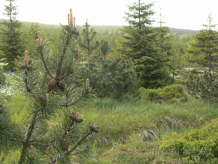 04054209.JPG