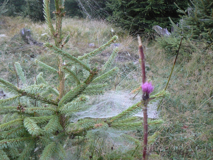 09054457.JPG