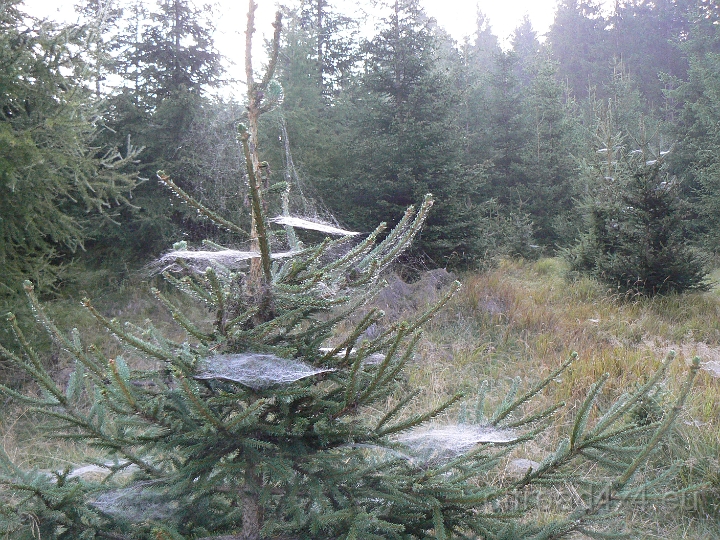 09054722.JPG