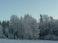 03083409