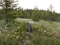 04053329