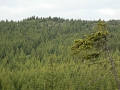 04054009