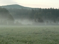 06053806