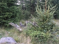 09054730
