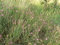 P1060894
