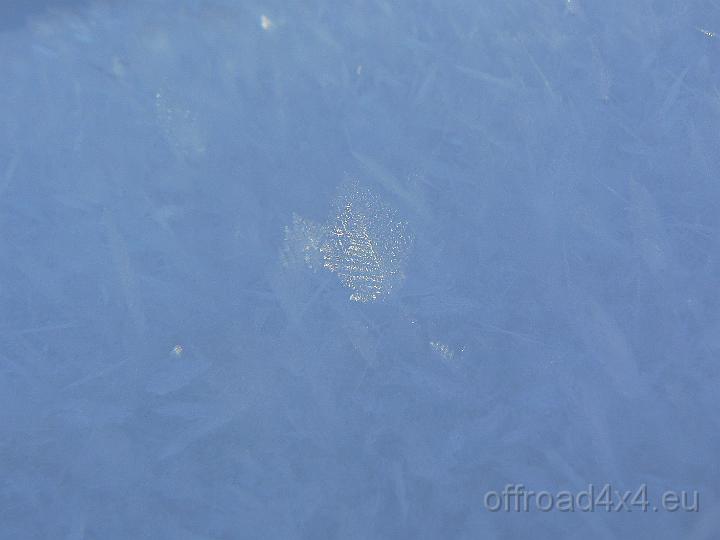 30115310.JPG