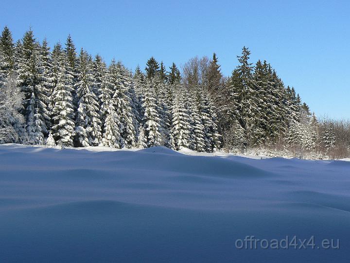 30120305.JPG
