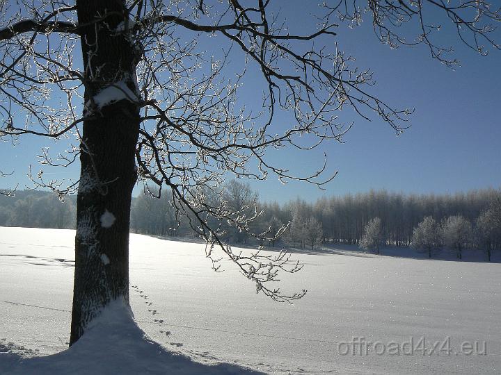 30121749.JPG