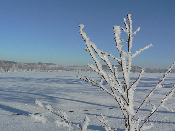 30121909.JPG