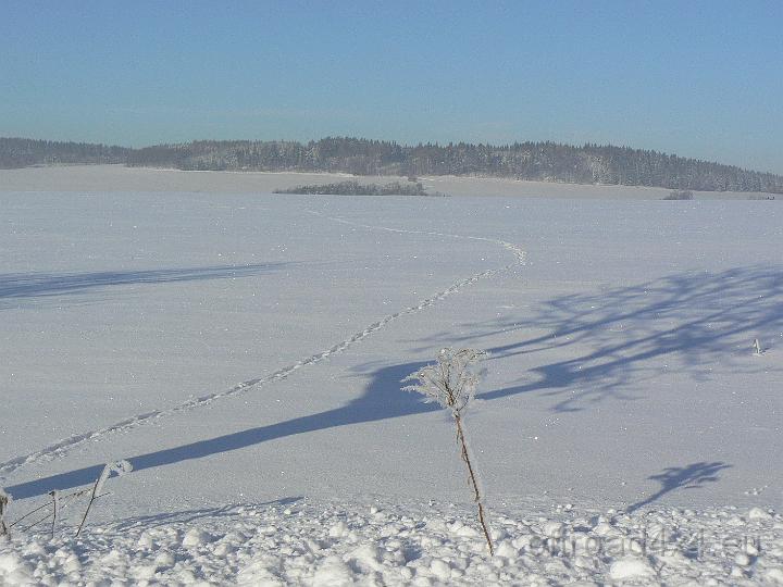 30123319.JPG