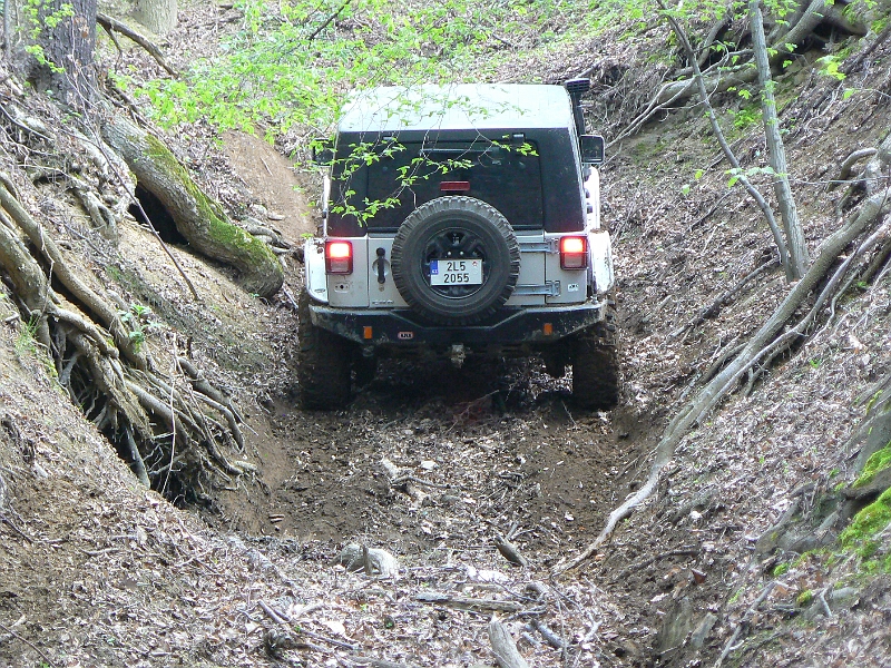 P1120614.JPG